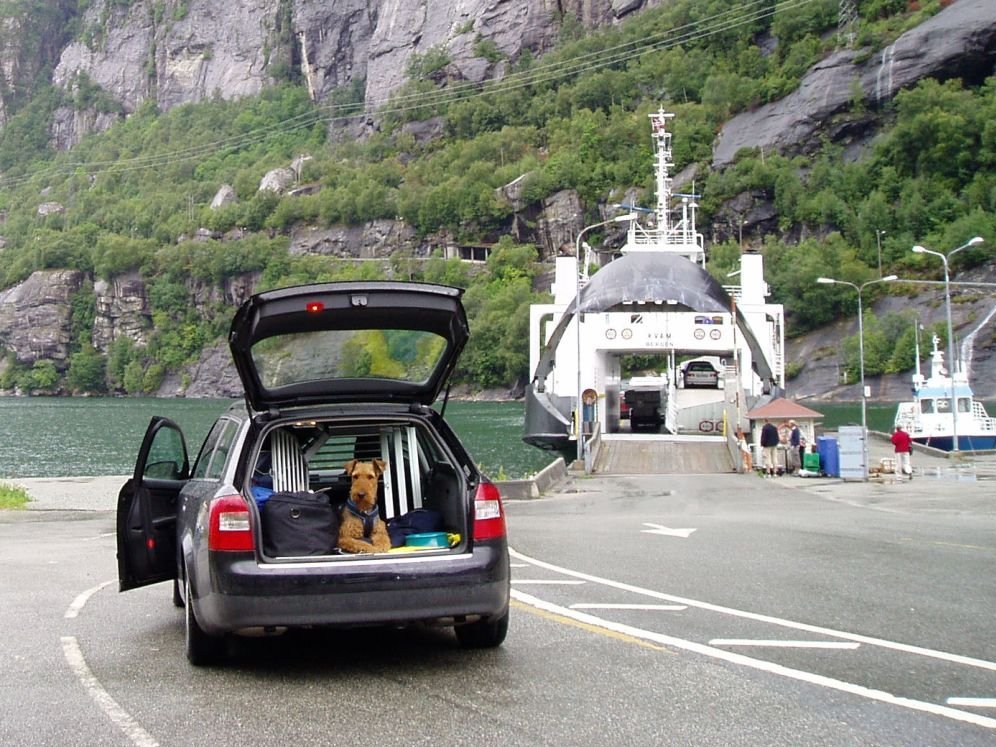 Fernreisen mit Kindern - Norwegen mit Hund