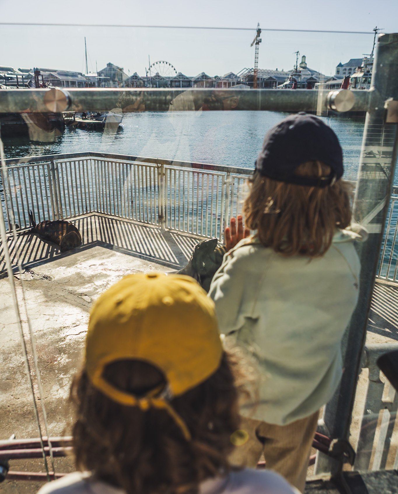 Südafrika Blog Artikel - Kinder erkunden die V&A Waterfront in Kapstadt – Südafrika Familienreise