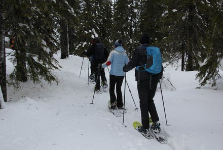 Finnland Familienurlaub - Finnland Winter for family - Schneeschuhwanderung im Wald