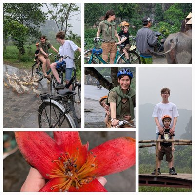 Vietnam for family - Bewertung - Collage mit Kids Vietnam for family - Bewertung - Collage mit Kids