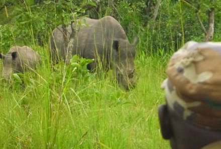 Uganda Familienurlaub - Uganda Family & Teens - Ranger beobachtet Nashörner