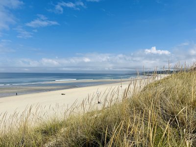Feedback PTFANP - Portugal for family - Sommerferien 2025 - Strandabschnitt