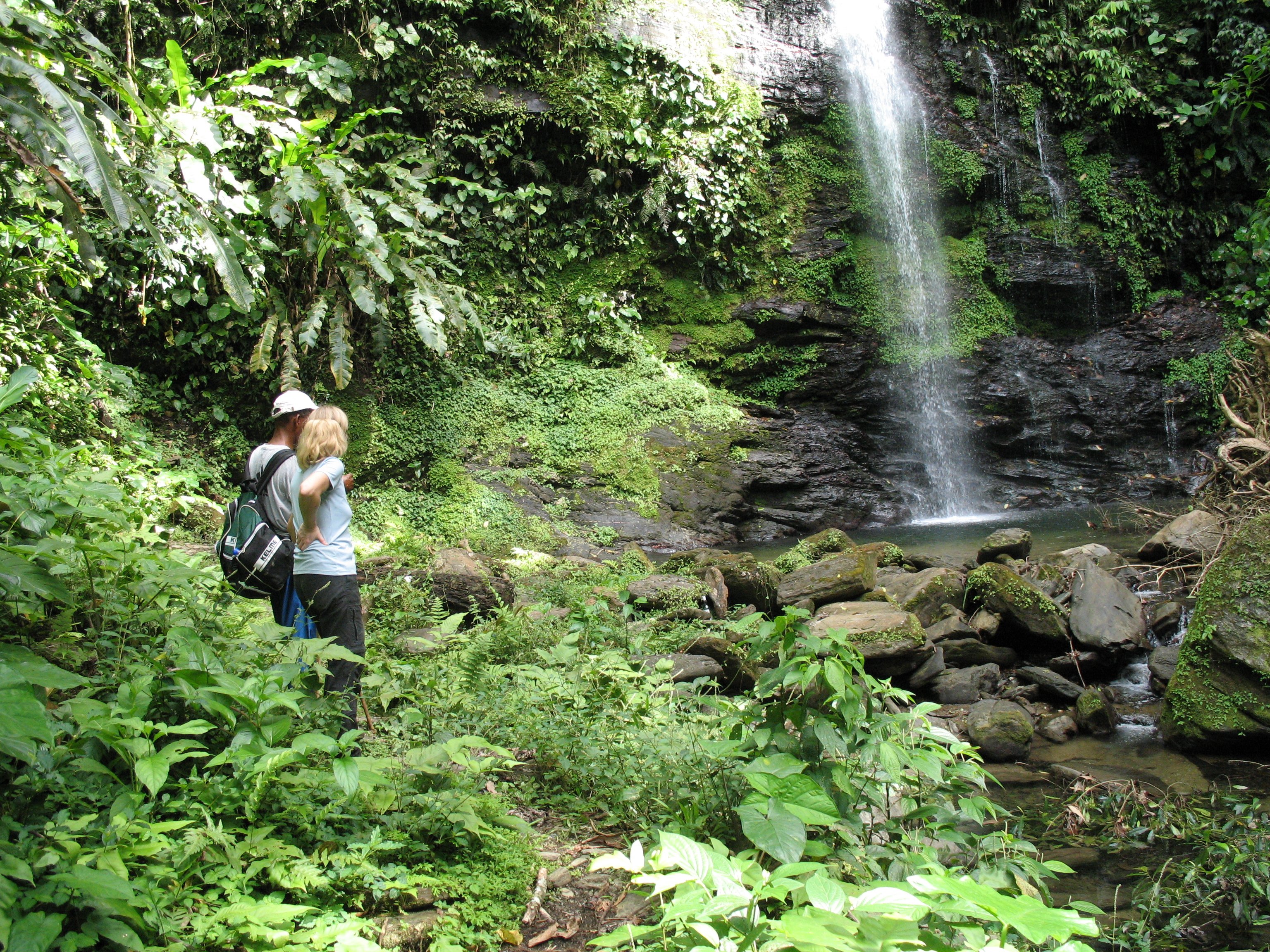 Unsere Mehrwerte auf einen Blick - Fernreisen mit Kindern - Regenwald