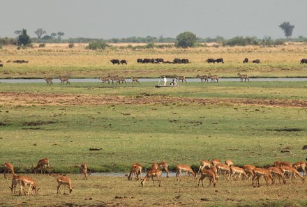 Botswana Familienreise - Botswana for family individuell - Nahe Kasane Chobe Nationalpark