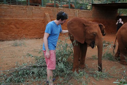 Kenia Familienreise - Kenia for family - Mann streichelt Elefant