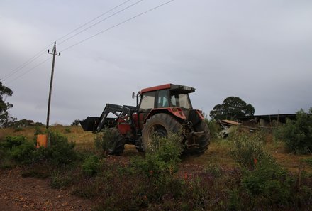 Garden Route mit Kindern individuell - Skeiding Guest Farm Traktor