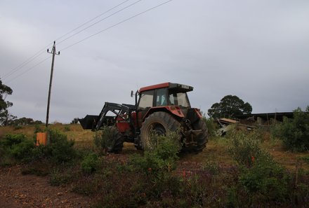 Garden Route mit Kindern  - Farm