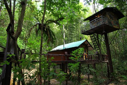 Thailand mit Kindern - Khao Sok Nationalpark - Khao Sok Tree House - Baumhaus