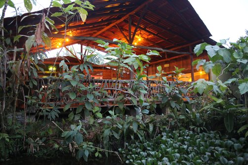 Costa Rica mit Kindern Erfahrungen - Costa Rica mit Kleinkindern - Costa Rica mit Kindern Blog - Unterkunft La Tigra
