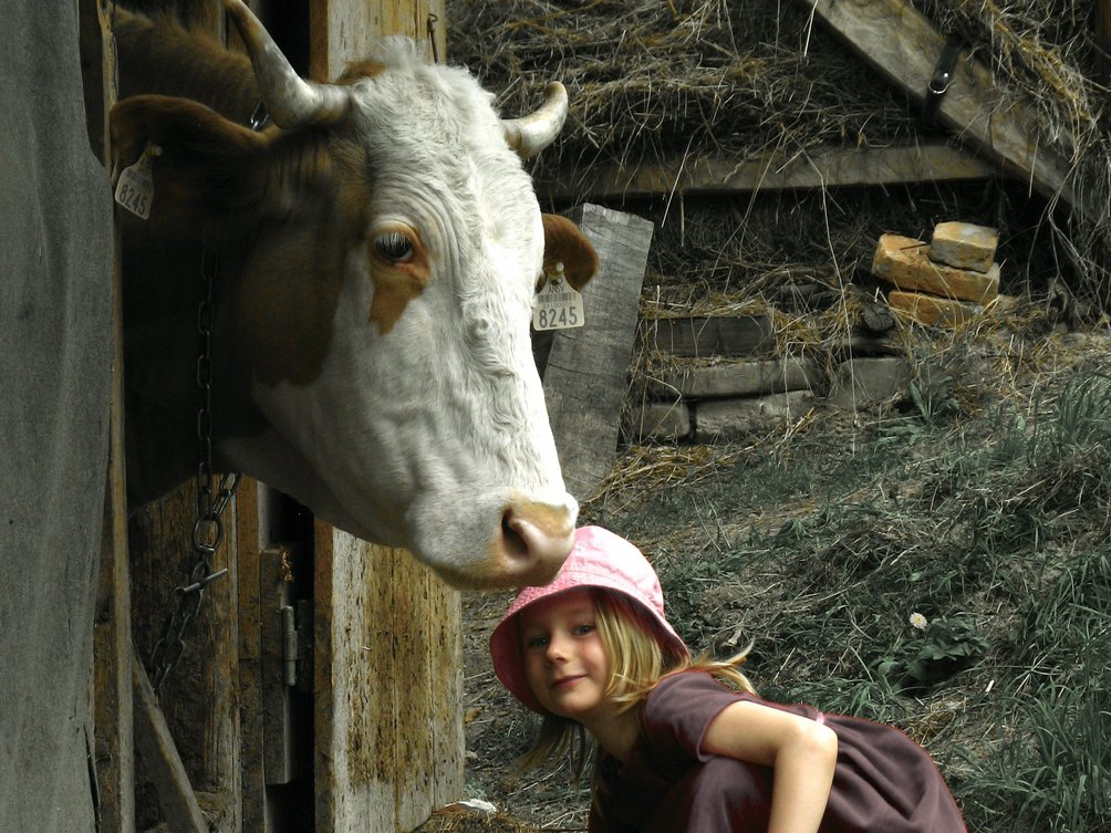 Rumänien mit Kindern - Landleben Rumänien - Mädchen im Kuhstall