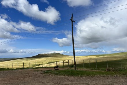 Südafrika Familienurlaub - Skeiding Guest Farm - Landschaft