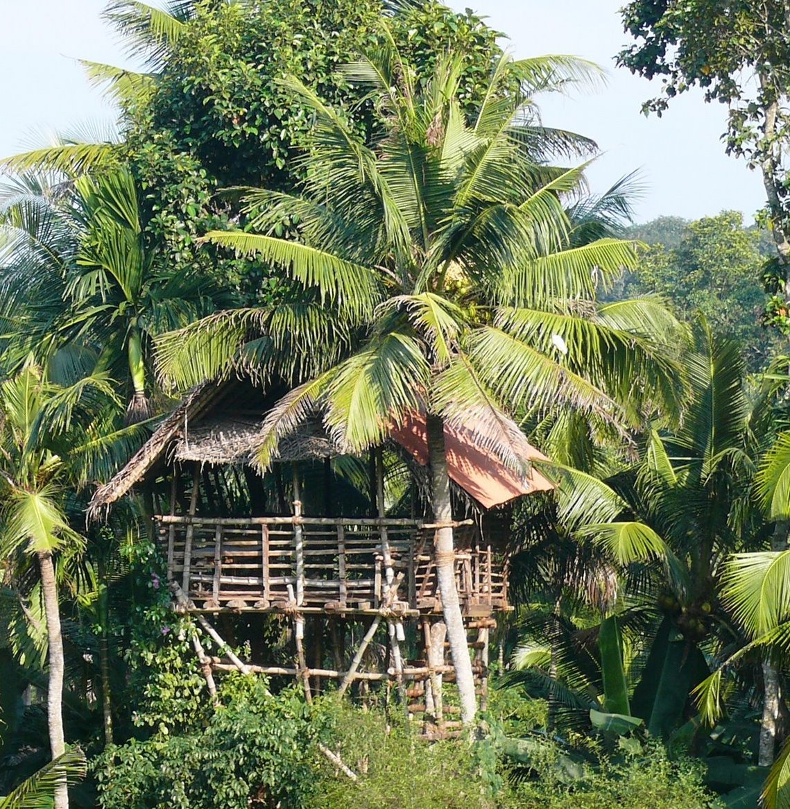 Südindien mit Kindern - Indien Süd for family - Baumhaus