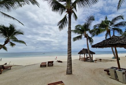 Kenia Family & Teens - Baobab Beach Resort - Palmen am Strand