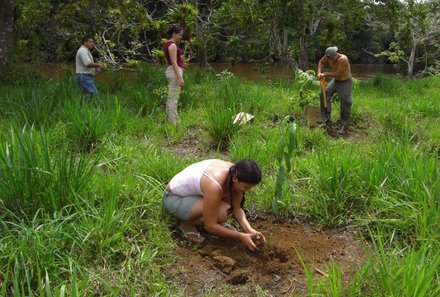 Costa Rica Familienreise - Costa Rica individuell - Baum pflanzen