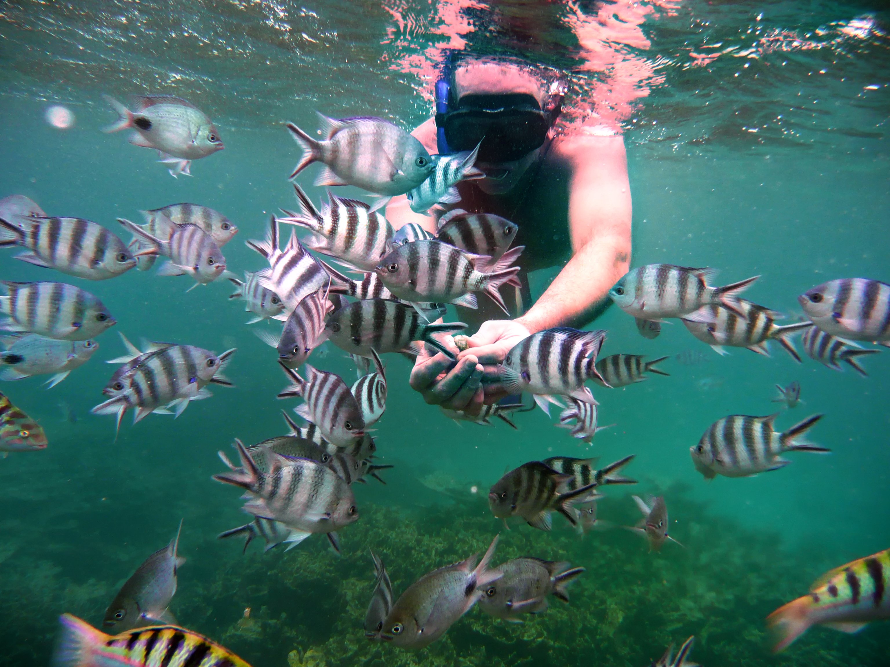 Mauritius Familienreise - Schnorcheln auf Mauritius