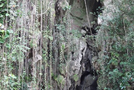 Familienreise Kuba - Kuba Family & Teens - Vinales Tal - Höhlen Cueva Santo Tomás Eingang