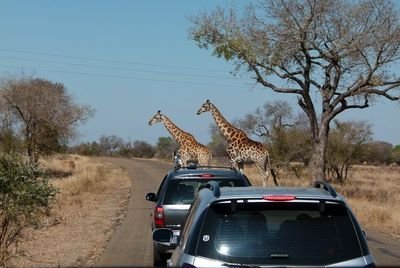 Familienreise Südafrika - Südafrika for family - Abreise