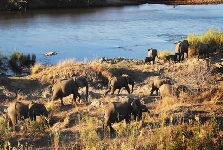 Botswana mit Jugendlichen - Elefanten