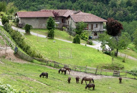 Familienurlaub in Piemont - Blick auf den Ferienbauernhof Gallo