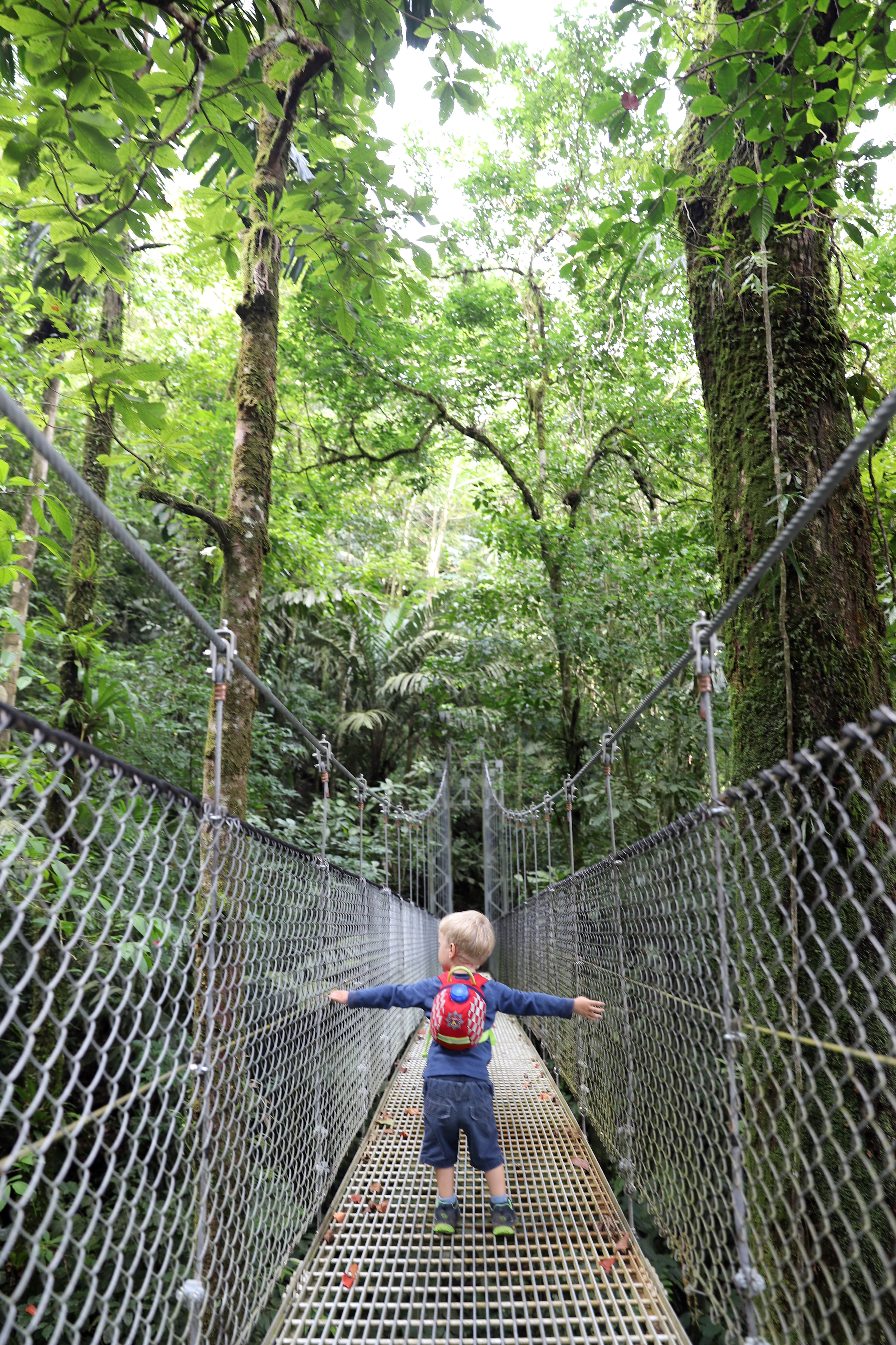 Costa Rica mit Kindern - Costa Rica Urlaub mit Kindern - Hängebrücken im Nebelwald Monteverde mit Kindern