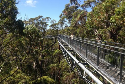 Australien for family - Australien Familienreise - Otway Treetop Walk