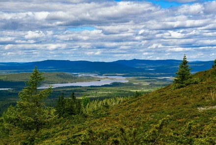 Schweden for family - Wildact Husky Farm - Landschaft 