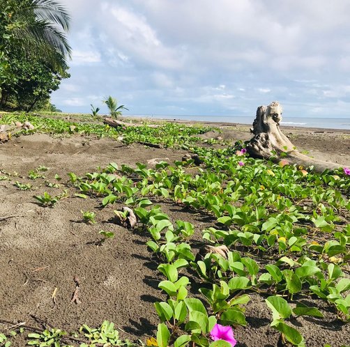 Reisbericht Costa Rica - Sabrina in Costa Rica