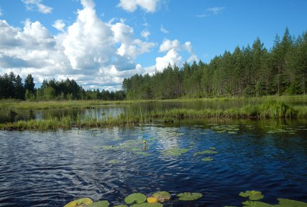 Familienreise Schweden - Schweden for family - Seenlandschaft