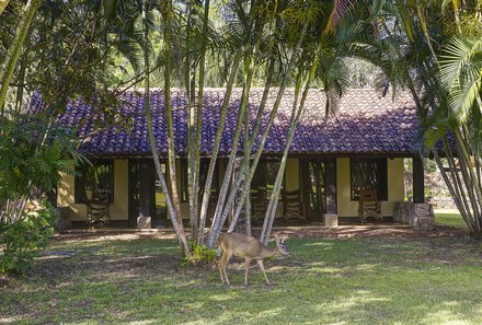 Costa Rica for family - Hacienda La Pacifica - Unterkunft mit Tier