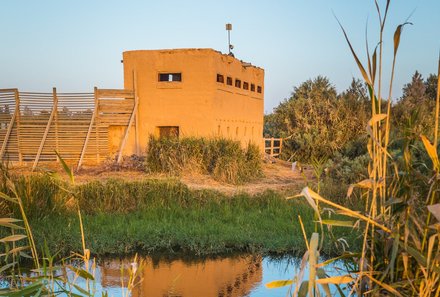 Jordanien Rundreise mit Kindern - Jordanien for family - Azraq Wetland Reserve