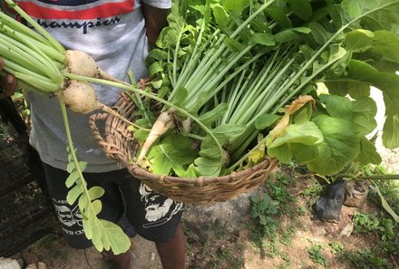 Sri Lanka for family - Sri Lanka mit kindern - Gewürze und Gemüse