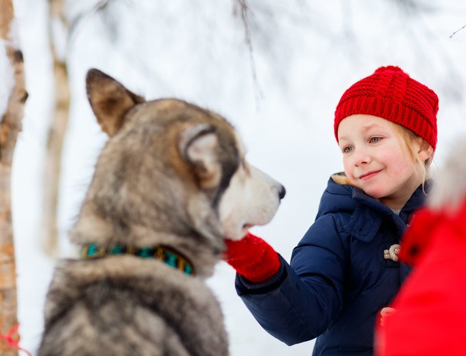 Estland for family Winter - Mädchen mit Schlittenhund