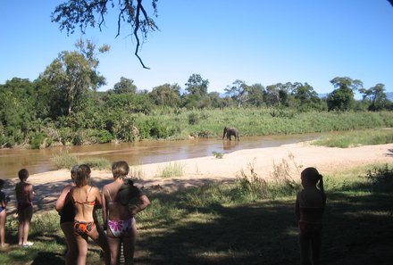 Reisebericht: Südafrika Makutsi Safari Farm - Südafrika mit Kindern - Elefant beim Baden