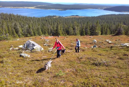 Schweden for family - Husky Farm - Wanderung mit Husky