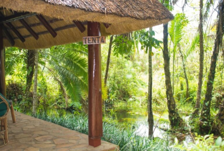 Uganda Queen Elizabeth Nationalpark - Kibale Forest Camp - Natur