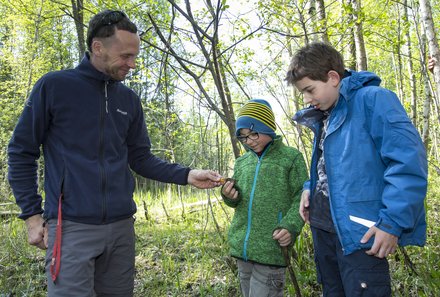 Estland mit Kindern - Estland for family - Beobachtungen im Wald