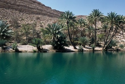 Oman Familienreise - Interview mit unserem Reiseleiter - Fluss mit Palmen