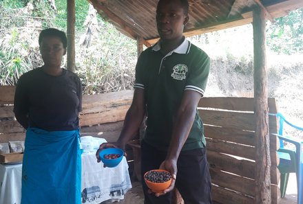 Uganda Familienurlaub - Uganda Family & Teens - Guide zeigt Kaffee
