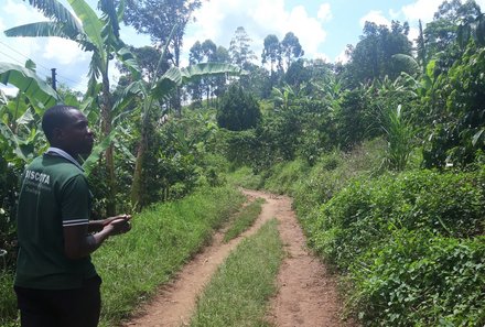 Uganda Individualreise - Uganda for family individuell - Auf der Pirsch zu Schimpansen im Kibale Nationalpark