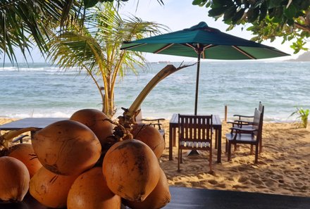 Sri Lanka Sommerurlaub mit Kindern - Strandtag