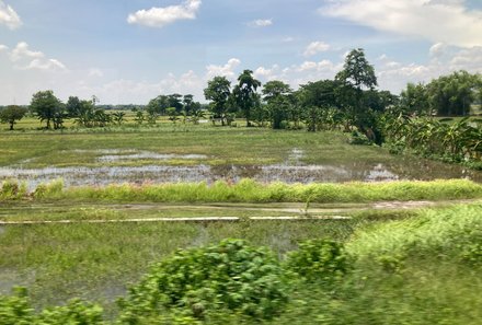 Bali mit Jugendlichen - Bali Familienreise - Grüne Landschaft