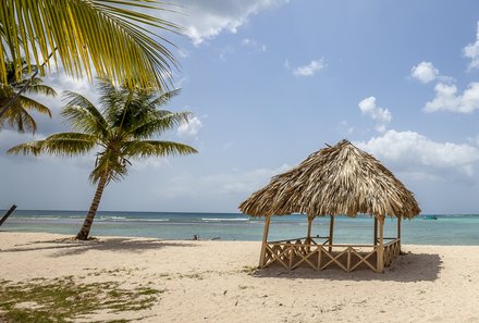 Karibik for family individuell - Tobago - Strand mit Palmen