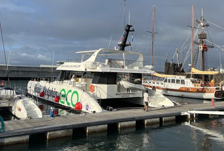 Madeira mit Kindern - Madeira for family - Katamaran Ausflug Hafen