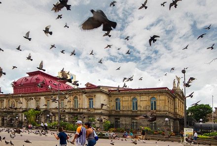 Familienreisen nach Costa Rica - Costa Rica mit Kindern - Tauben fliegen