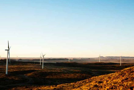 CO2-Kompensation bei For Family Reisen - Emissionskompensation Familienurlaub - ClimatePartner -Windräder Südafrika