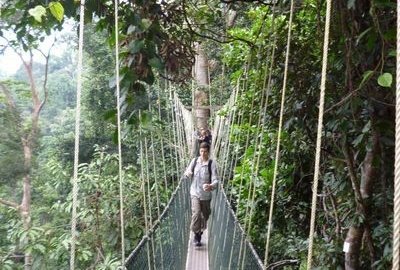 Malaysia mit Teenagern - Canopy Walk im Taman Negara Nationalpark