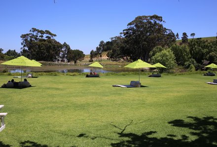 Kapstadt Familienreise - Kapstadt for family individuell - Stellenbosch Warwick Wine Estate - Gartenanlage