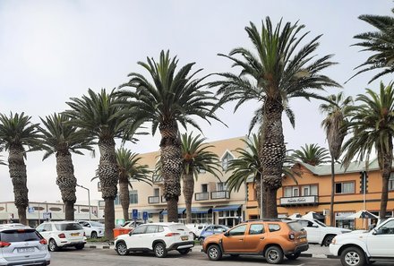 Namibia mit Kindern - Swakopmund - Palmen und Autos