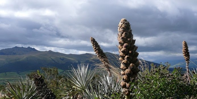 Vorstellung der Bestseller-Familienreisen - Berge in Galapagos