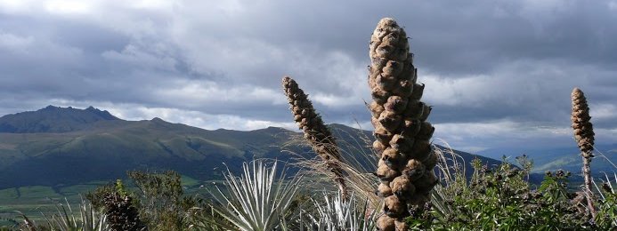 Vorstellung der Bestseller-Familienreisen - Galapagos